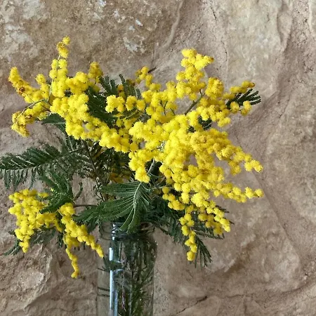 Landhuis Alqueria De Segovia *